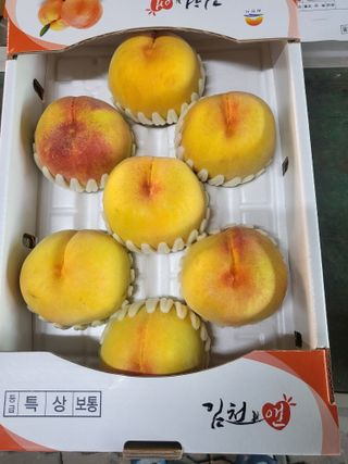 박범재0104195님의 자유주제 · 사진전 작성글 사진