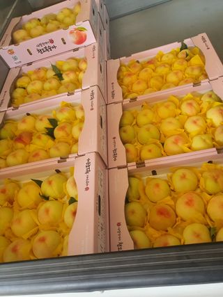 반시님의 복숭아 · 영농일지 작성글 사진