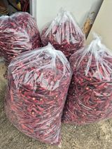 팜모닝 고추·영농일지 게시글 이미지