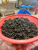 팜모닝 자유주제·자유게시판 게시글 이미지