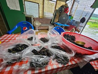 영진농장님의 자유주제 · 자유게시판 작성글 사진