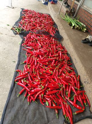 금강석님의 자유주제 · 자유게시판 작성글 사진