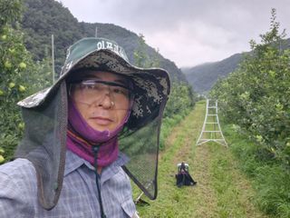 전락구님의 사과 · 영농일지 작성글 사진