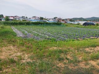 이용주 님의 작성글 사진