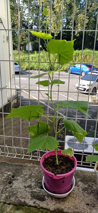 이강재님의 자유주제 · 자유게시판 작성글 사진