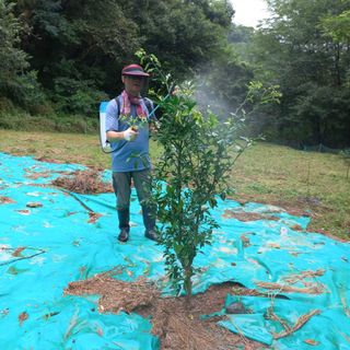 김건우님의 기타작물 · 영농일지 작성글 사진