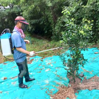 김건우님의 기타작물 · 영농일지 작성글 사진