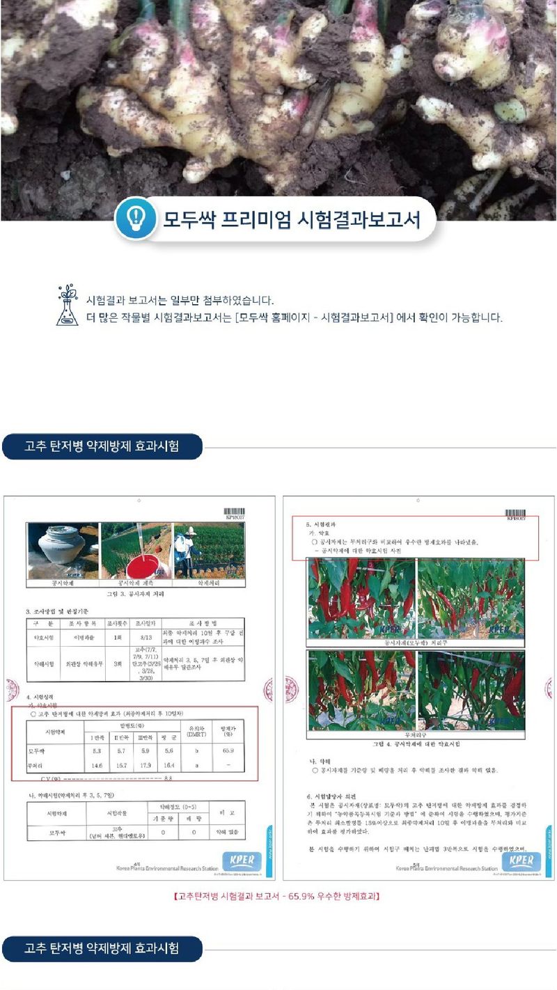 모두싹나라 김재호님의 장터 판매 상품 [모두싹 프리미엄 1kg] 첨부 사진