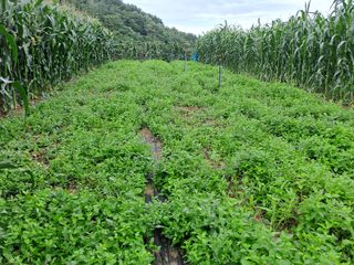 강정희님의 자유주제 · 자유게시판 작성글 사진