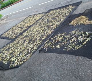 knlee님의 작성글 사진