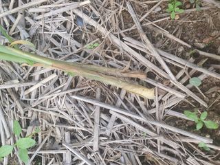 주옥님의 자유주제 · 자유게시판 작성글 사진