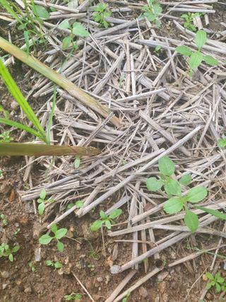 주옥님의 자유주제 · 자유게시판 작성글 사진