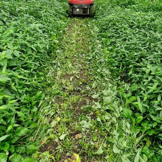 허재우님의 배 · 영농일지 작성글 사진