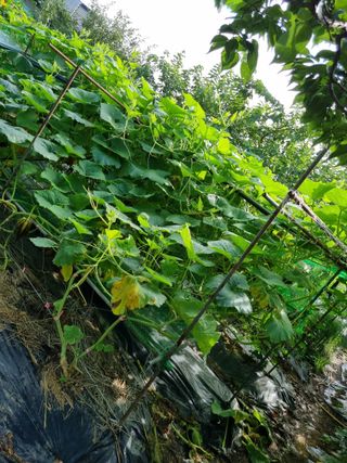 김 기 동님의 자유주제 · 자유게시판 작성글 사진