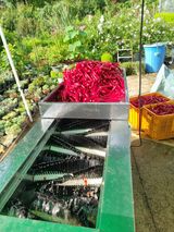 팜모닝 자유주제·자유게시판 게시글 이미지