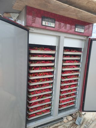 김문철님의 고추 · 영농일지 작성글 사진