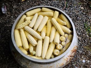 김용님의 자유주제 · 자유게시판 작성글 사진