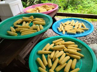 김용님의 자유주제 · 자유게시판 작성글 사진