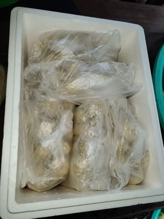 김용님의 자유주제 · 자유게시판 작성글 사진