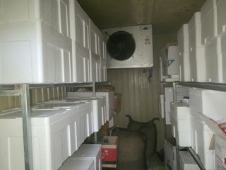 김용님의 자유주제 · 자유게시판 작성글 사진