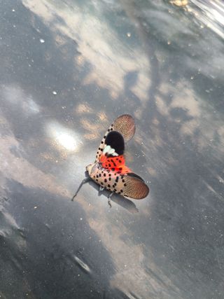 이뿐간장님의 자유주제 · 자유게시판 작성글 사진