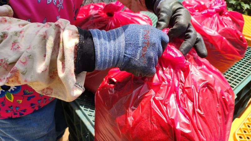 조한솔님의 장터 판매 상품 [무농약 매콤달콤 유황고춧가루 1근(600g)] 첨부 사진