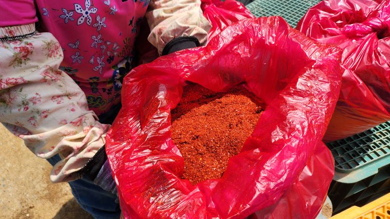 조한솔님의 장터 판매 상품 [무농약 매콤달콤 유황고춧가루 1근(600g)] 첨부 사진