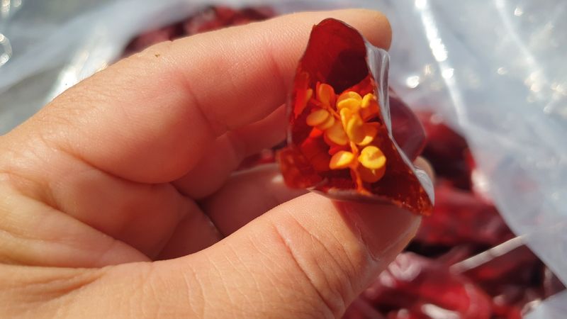 조한솔님의 장터 판매 상품 [무농약 매콤달콤 유황고춧가루 1근(600g)] 첨부 사진