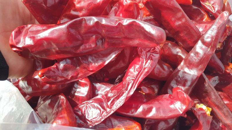 조한솔님의 장터 판매 상품 [무농약 매콤달콤 유황고춧가루 1근(600g)] 첨부 사진