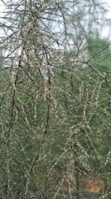 팜모닝 농사, 무엇이든 물어보세요!·참여글 게시글 이미지