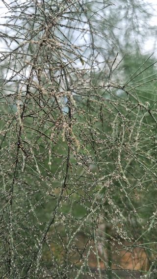 이정식님의 농사, 무엇이든 물어보세요! · 참여글 작성글 사진