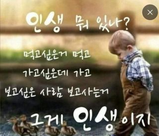 둥이농장(김준태)님의 자유주제 · 자유게시판 작성글 사진