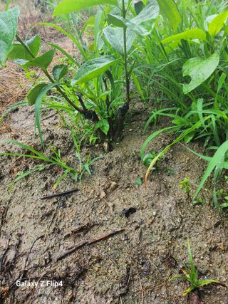 성낙신 님의 자유주제 · 자유게시판 작성글 사진