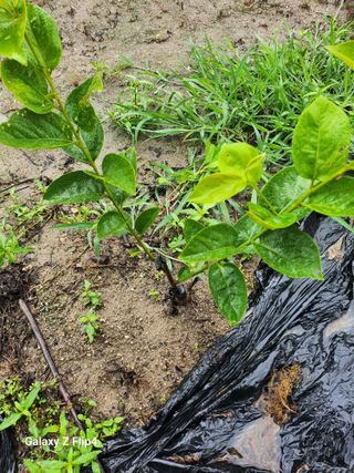 성낙신 님의 자유주제 · 자유게시판 작성글 사진