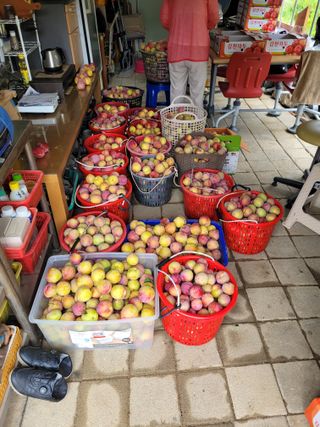 유병선(김천자두)님의 자유주제 · 자유게시판 작성글 사진