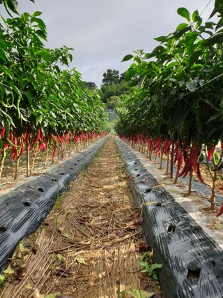 양파5749님의 자유주제 · 자유게시판 작성글 사진