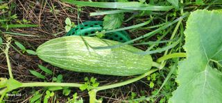 접시꽃님의 자유주제 · 자유게시판 작성글 사진