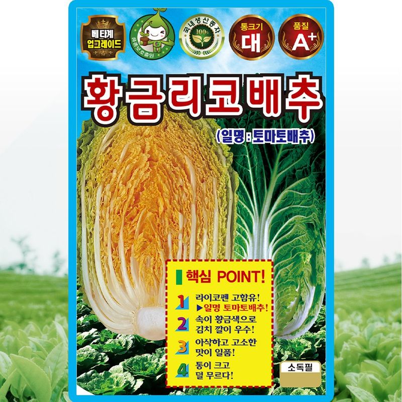 장터 상품 [KS종묘 황금리코배추 씨앗 2000립 가을 김장배추씨 종자] 썸네일