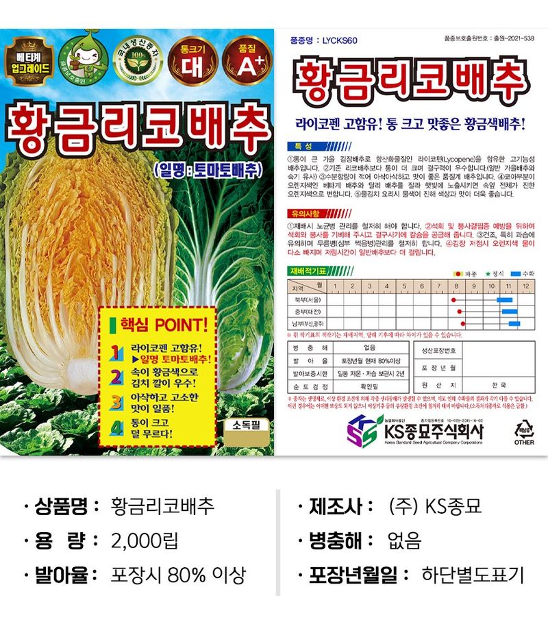 산들마켓,씨앗마켓님의 장터 판매 상품 [KS종묘 황금리코배추 씨앗 2000립 가을 김장배추씨 종자] 첨부 사진