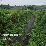 팜모닝 자유주제·자유게시판 게시글 이미지