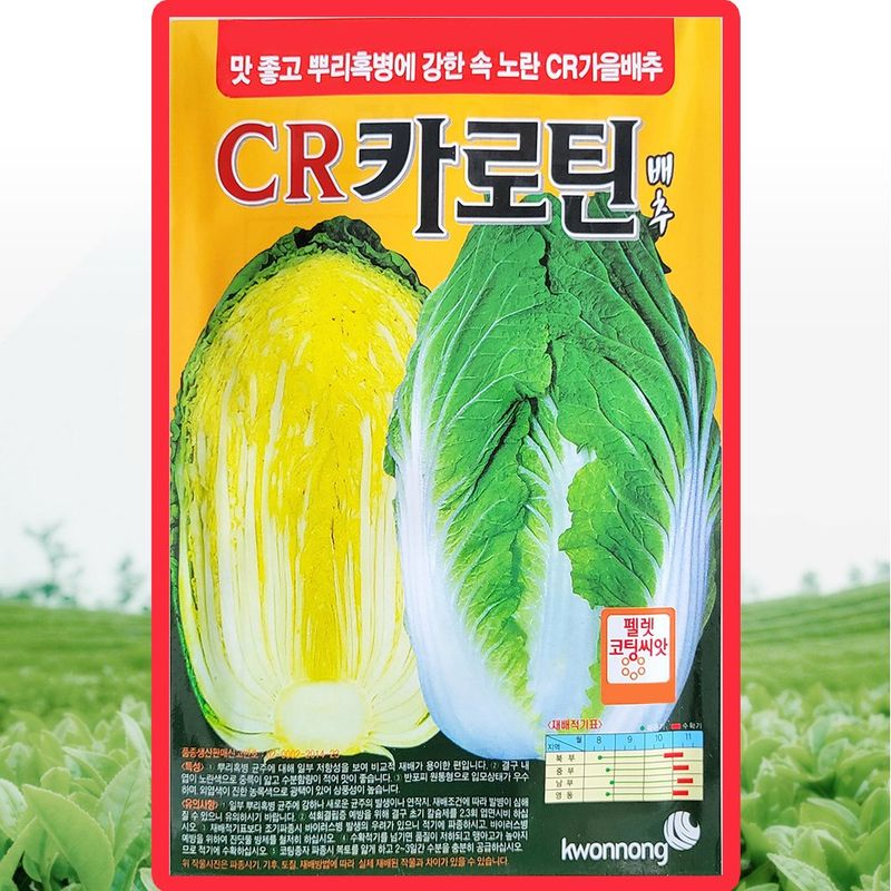 장터 상품 [CR 카로틴배추 씨앗 2000립 가을 김장 배추씨 코팅 종자] 썸네일