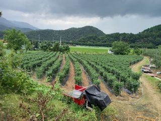무주김근중님의 자유주제 · 사진전 작성글 사진