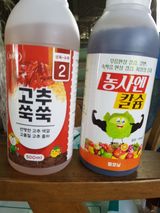 팜모닝 자유주제·사진전 게시글 이미지