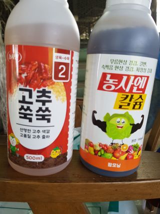 Momo51님의 자유주제 · 사진전 작성글 사진