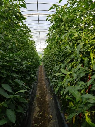 Momo51님의 자유주제 · 사진전 작성글 사진