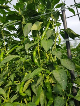 Momo51님의 자유주제 · 사진전 작성글 사진