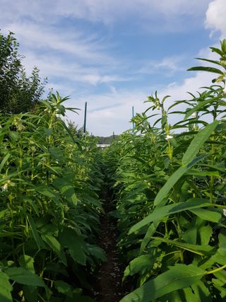 Momo51님의 자유주제 · 사진전 작성글 사진