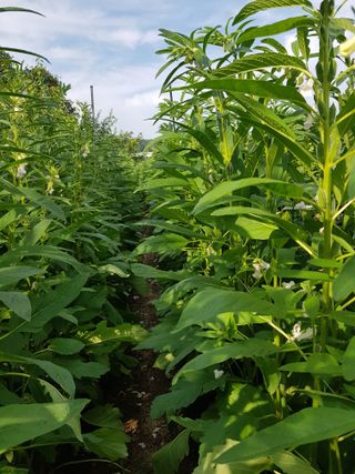 Momo51님의 자유주제 · 사진전 작성글 사진