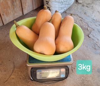 김중언님의 작성글 사진