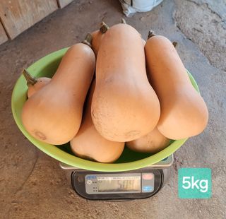 김중언님의 작성글 사진